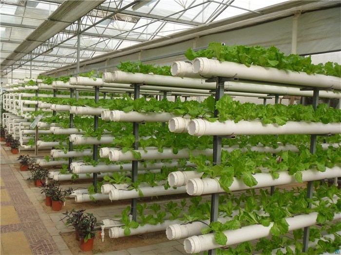 菏泽市温室大棚种植槽 - 哪里好
